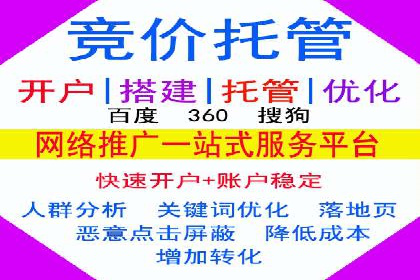 搜索引擎营销（SEM）在电商行业的投放策略案例